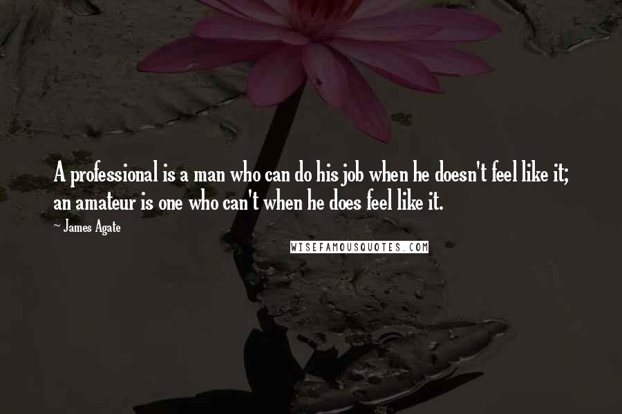 James Agate Quotes: A professional is a man who can do his job when he doesn't feel like it; an amateur is one who can't when he does feel like it.