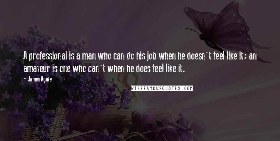 James Agate Quotes: A professional is a man who can do his job when he doesn't feel like it; an amateur is one who can't when he does feel like it.