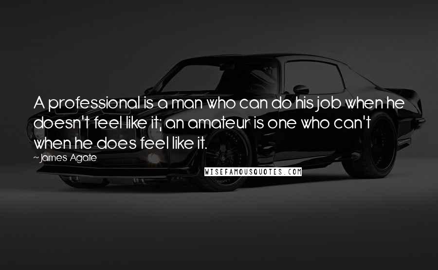 James Agate Quotes: A professional is a man who can do his job when he doesn't feel like it; an amateur is one who can't when he does feel like it.