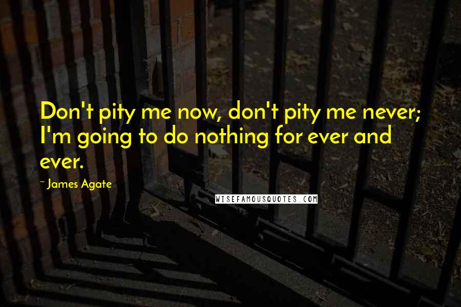 James Agate Quotes: Don't pity me now, don't pity me never; I'm going to do nothing for ever and ever.