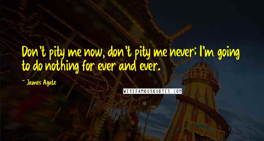 James Agate Quotes: Don't pity me now, don't pity me never; I'm going to do nothing for ever and ever.