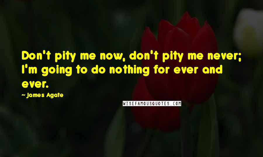 James Agate Quotes: Don't pity me now, don't pity me never; I'm going to do nothing for ever and ever.