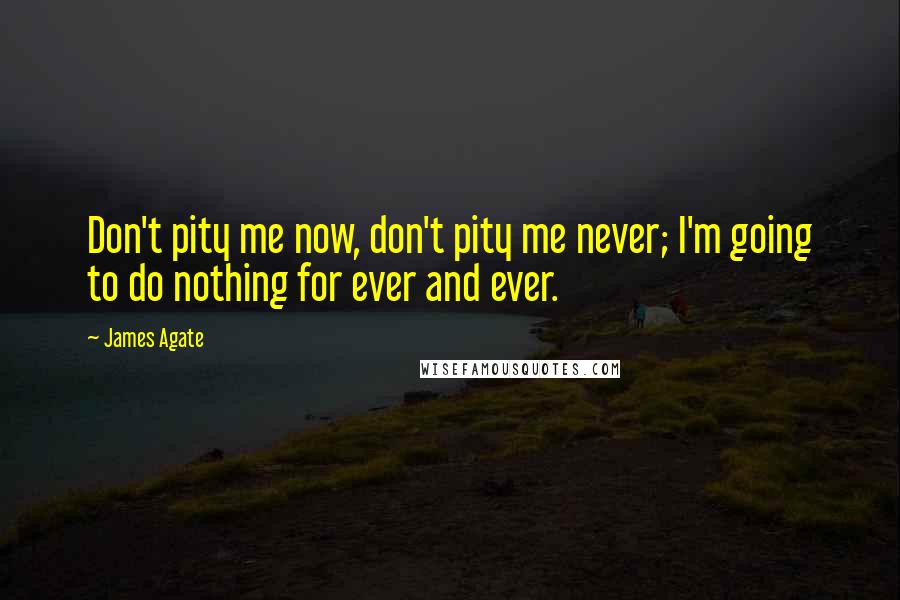 James Agate Quotes: Don't pity me now, don't pity me never; I'm going to do nothing for ever and ever.