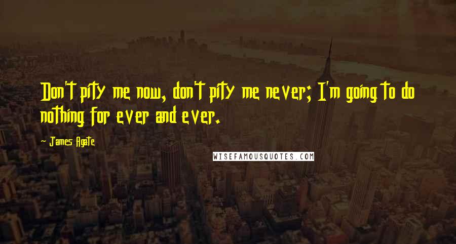 James Agate Quotes: Don't pity me now, don't pity me never; I'm going to do nothing for ever and ever.