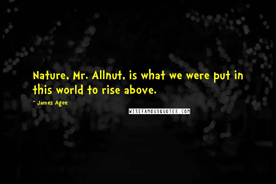 James Agee Quotes: Nature, Mr. Allnut, is what we were put in this world to rise above.
