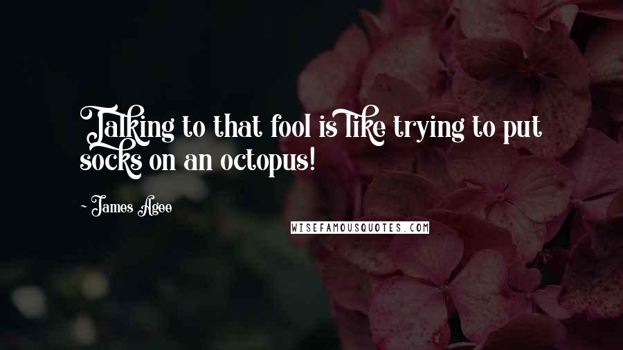 James Agee Quotes: Talking to that fool is like trying to put socks on an octopus!