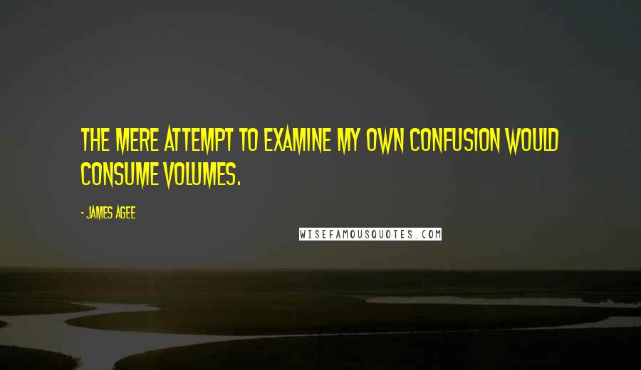 James Agee Quotes: The mere attempt to examine my own confusion would consume volumes.