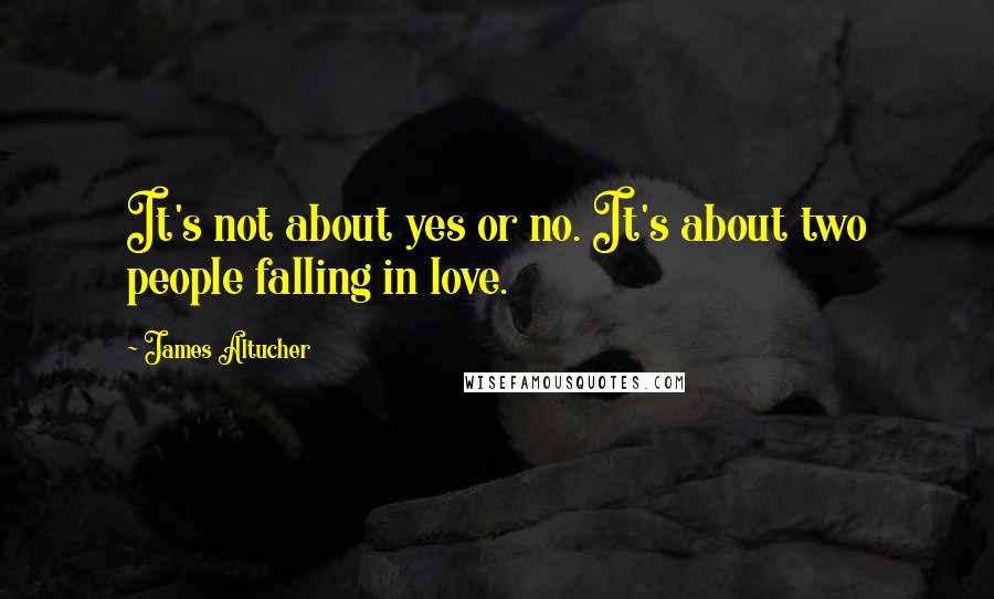 James Altucher Quotes: It's not about yes or no. It's about two people falling in love.