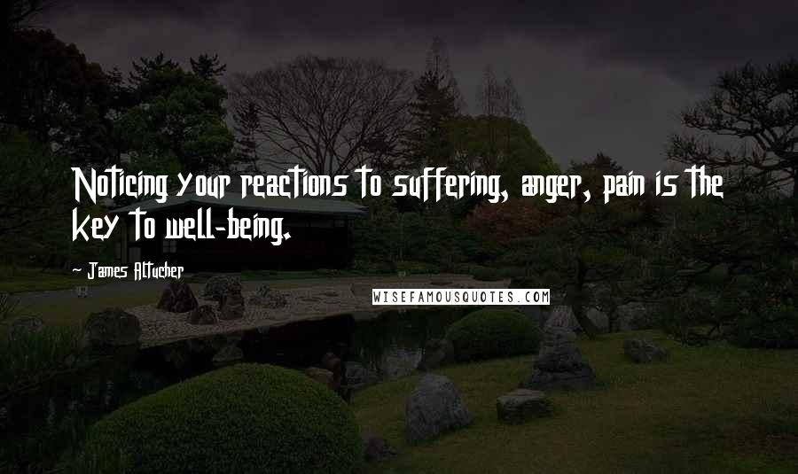 James Altucher Quotes: Noticing your reactions to suffering, anger, pain is the key to well-being.