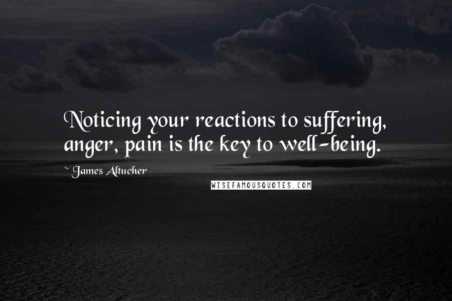 James Altucher Quotes: Noticing your reactions to suffering, anger, pain is the key to well-being.