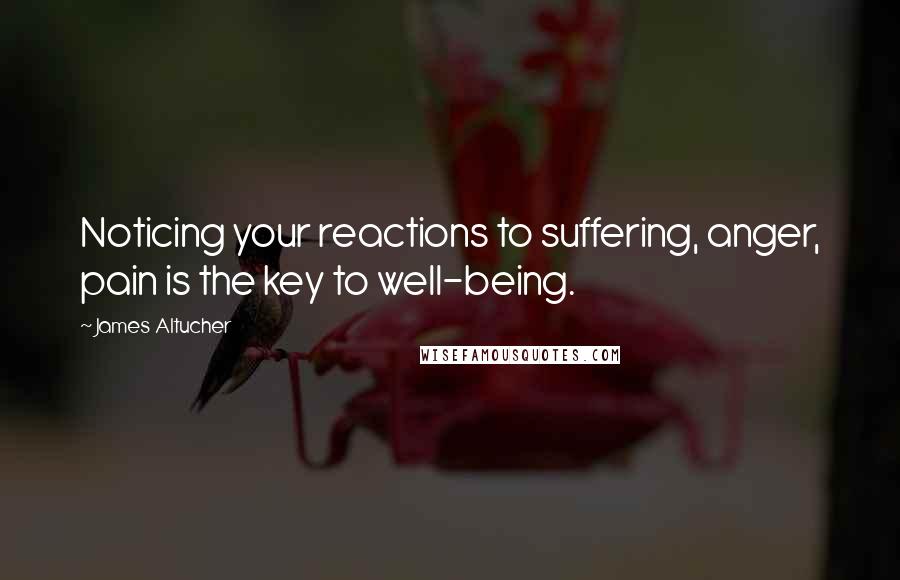James Altucher Quotes: Noticing your reactions to suffering, anger, pain is the key to well-being.