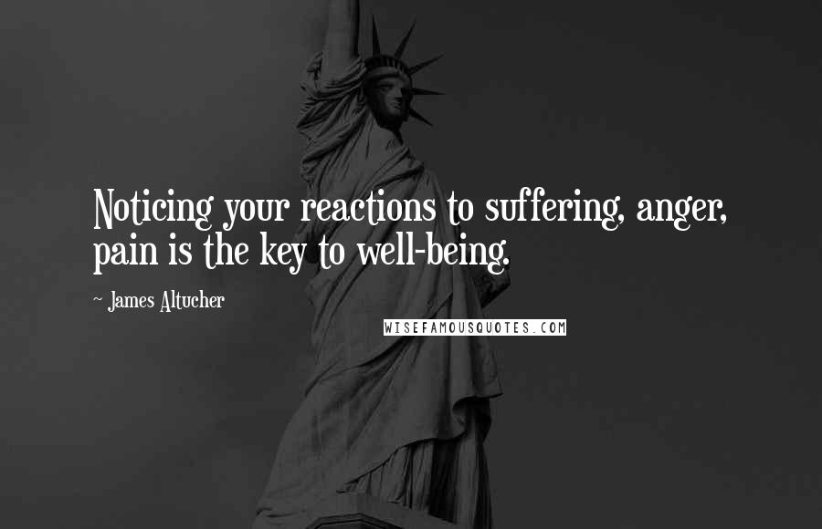 James Altucher Quotes: Noticing your reactions to suffering, anger, pain is the key to well-being.