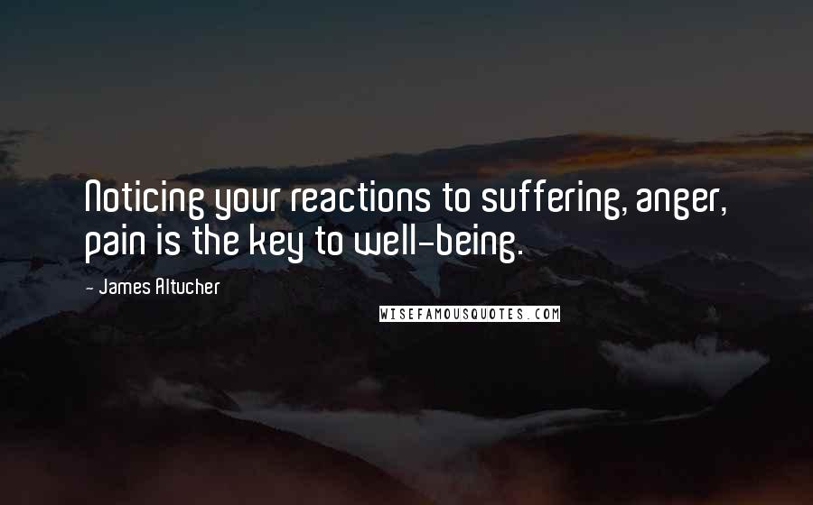 James Altucher Quotes: Noticing your reactions to suffering, anger, pain is the key to well-being.