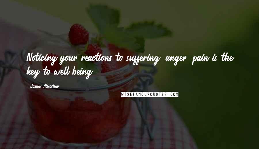 James Altucher Quotes: Noticing your reactions to suffering, anger, pain is the key to well-being.