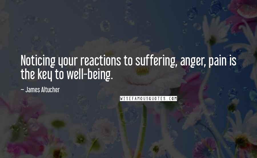 James Altucher Quotes: Noticing your reactions to suffering, anger, pain is the key to well-being.