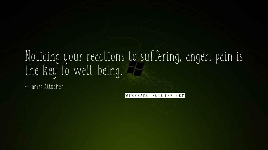 James Altucher Quotes: Noticing your reactions to suffering, anger, pain is the key to well-being.
