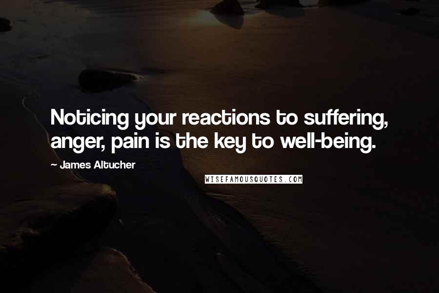 James Altucher Quotes: Noticing your reactions to suffering, anger, pain is the key to well-being.
