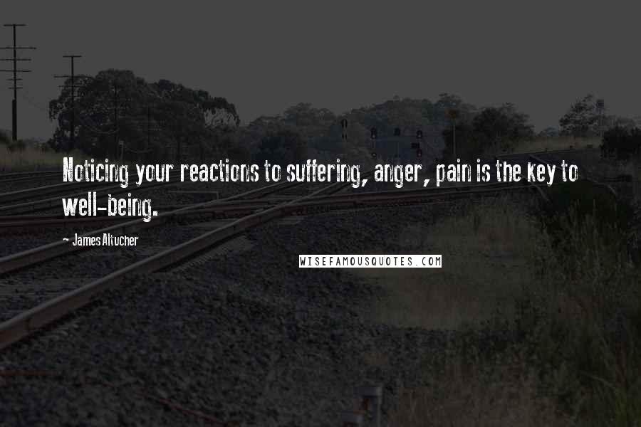 James Altucher Quotes: Noticing your reactions to suffering, anger, pain is the key to well-being.