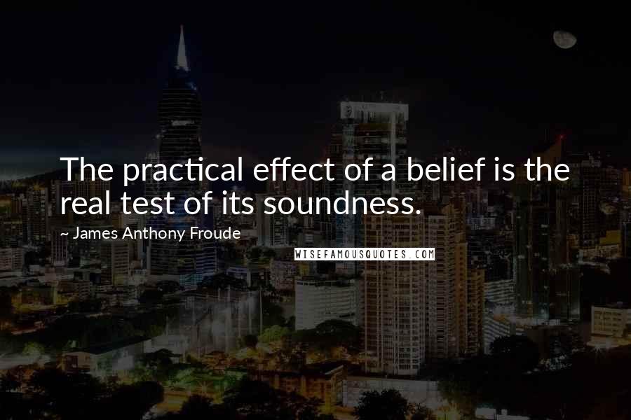 James Anthony Froude Quotes: The practical effect of a belief is the real test of its soundness.