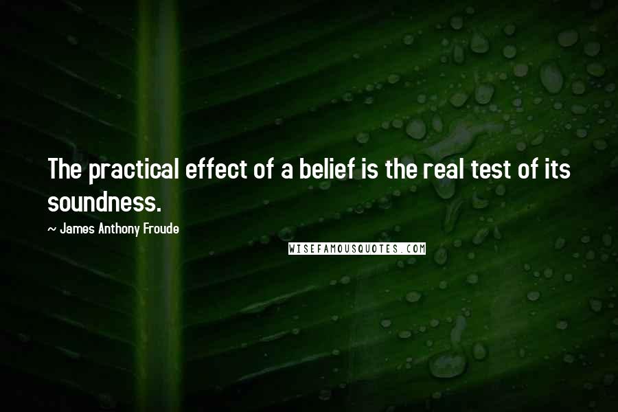 James Anthony Froude Quotes: The practical effect of a belief is the real test of its soundness.