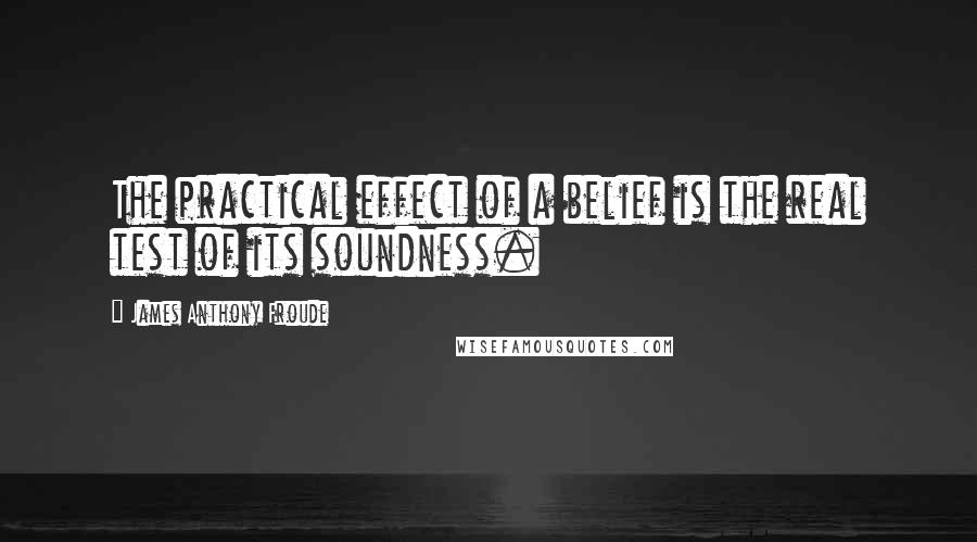 James Anthony Froude Quotes: The practical effect of a belief is the real test of its soundness.