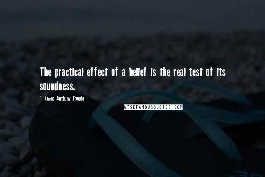 James Anthony Froude Quotes: The practical effect of a belief is the real test of its soundness.