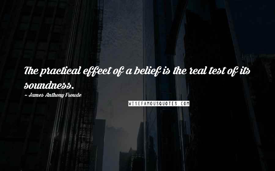 James Anthony Froude Quotes: The practical effect of a belief is the real test of its soundness.