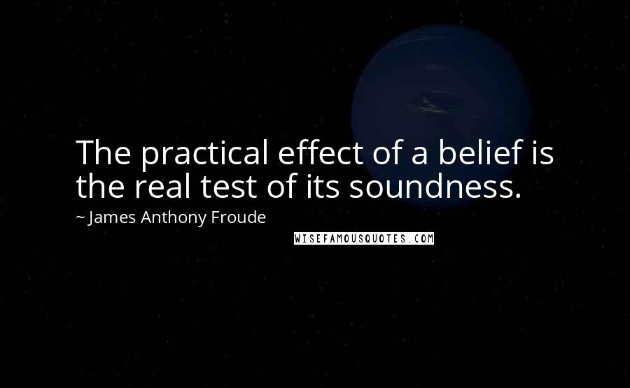 James Anthony Froude Quotes: The practical effect of a belief is the real test of its soundness.
