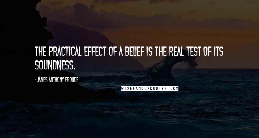 James Anthony Froude Quotes: The practical effect of a belief is the real test of its soundness.