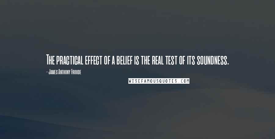 James Anthony Froude Quotes: The practical effect of a belief is the real test of its soundness.