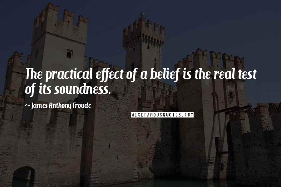 James Anthony Froude Quotes: The practical effect of a belief is the real test of its soundness.