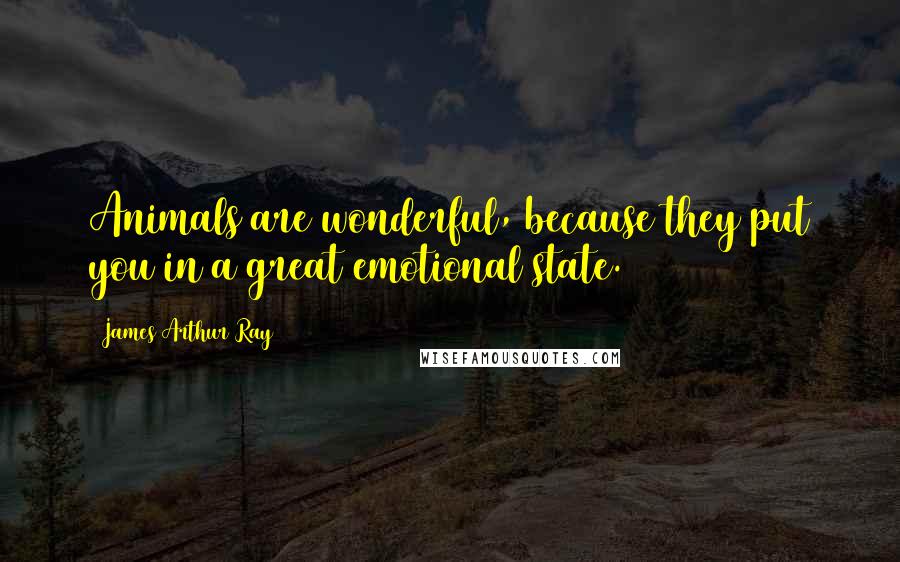 James Arthur Ray Quotes: Animals are wonderful, because they put you in a great emotional state.