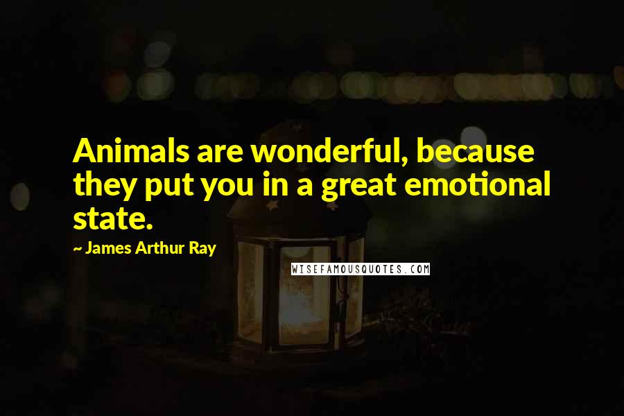 James Arthur Ray Quotes: Animals are wonderful, because they put you in a great emotional state.