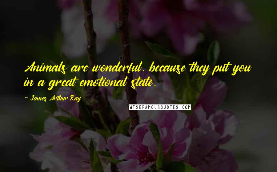 James Arthur Ray Quotes: Animals are wonderful, because they put you in a great emotional state.