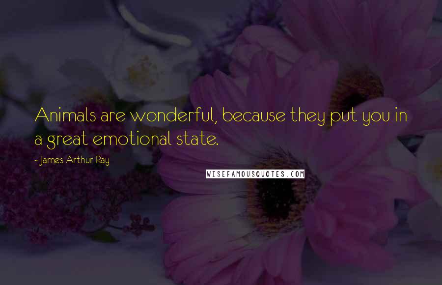 James Arthur Ray Quotes: Animals are wonderful, because they put you in a great emotional state.