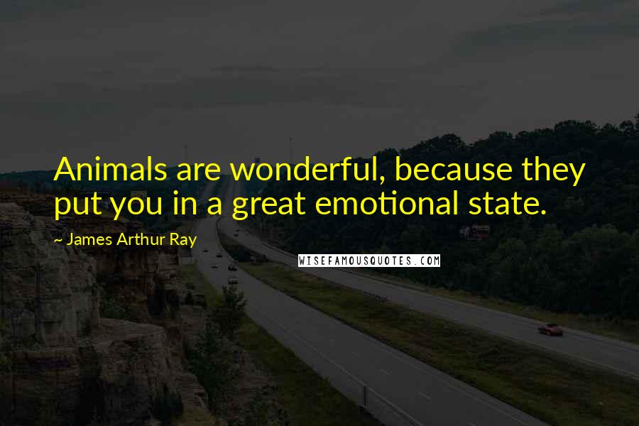 James Arthur Ray Quotes: Animals are wonderful, because they put you in a great emotional state.