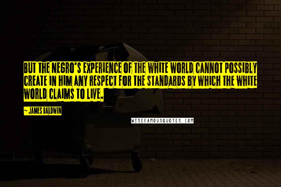 James Baldwin Quotes: But the Negro's experience of the white world cannot possibly create in him any respect for the standards by which the white world claims to live.