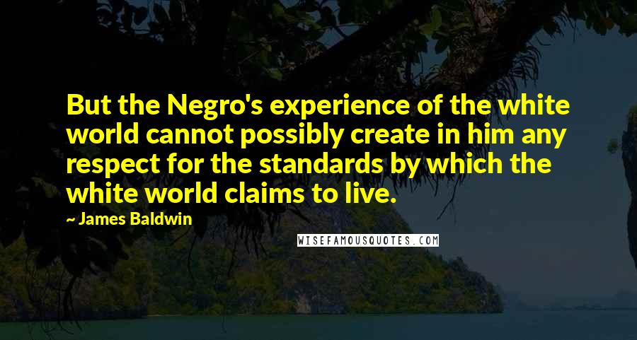 James Baldwin Quotes: But the Negro's experience of the white world cannot possibly create in him any respect for the standards by which the white world claims to live.