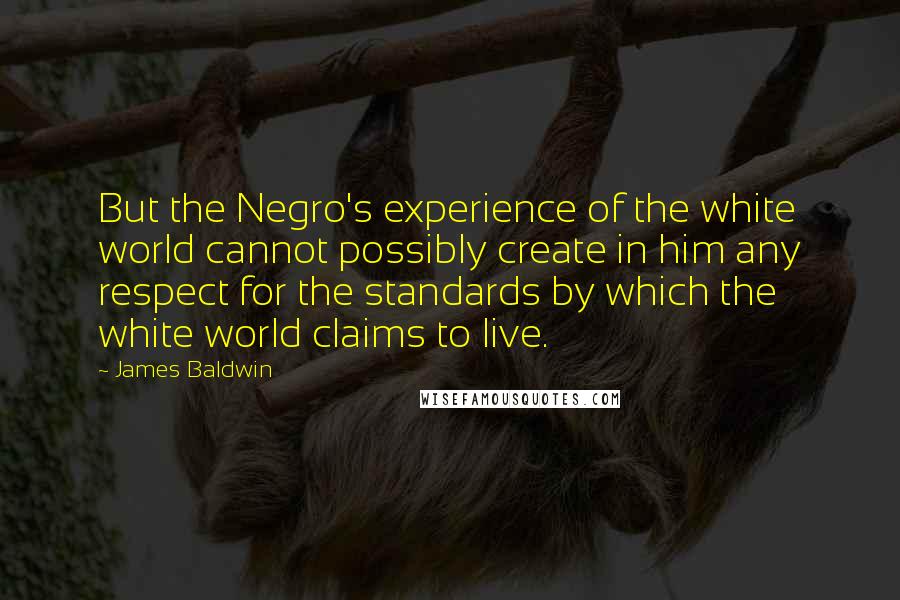 James Baldwin Quotes: But the Negro's experience of the white world cannot possibly create in him any respect for the standards by which the white world claims to live.