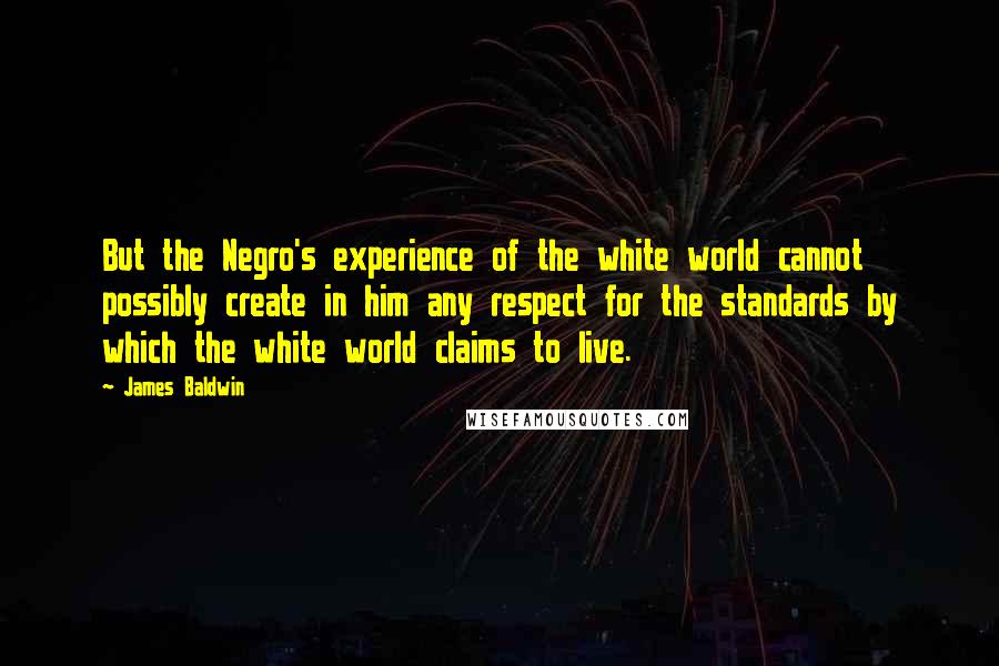 James Baldwin Quotes: But the Negro's experience of the white world cannot possibly create in him any respect for the standards by which the white world claims to live.