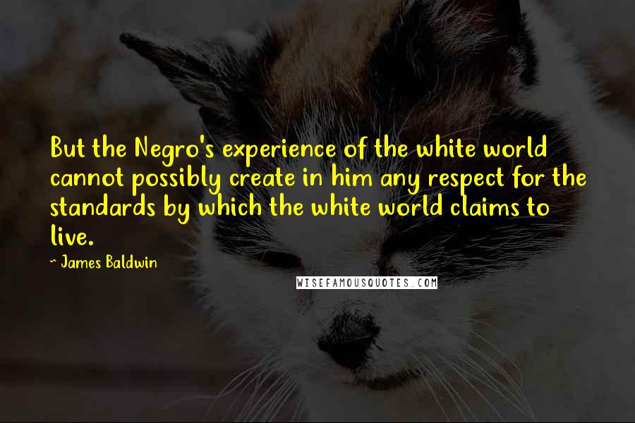 James Baldwin Quotes: But the Negro's experience of the white world cannot possibly create in him any respect for the standards by which the white world claims to live.