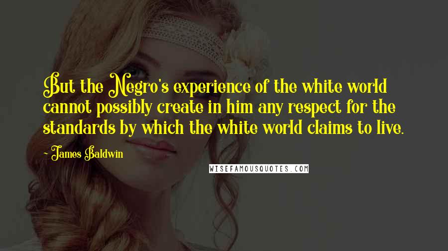 James Baldwin Quotes: But the Negro's experience of the white world cannot possibly create in him any respect for the standards by which the white world claims to live.