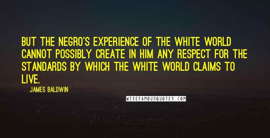 James Baldwin Quotes: But the Negro's experience of the white world cannot possibly create in him any respect for the standards by which the white world claims to live.