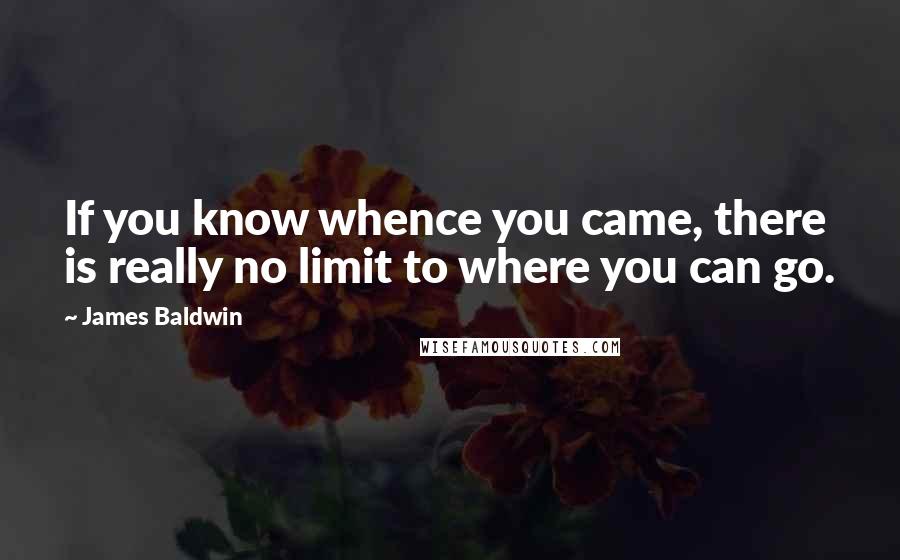 James Baldwin Quotes: If you know whence you came, there is really no limit to where you can go.