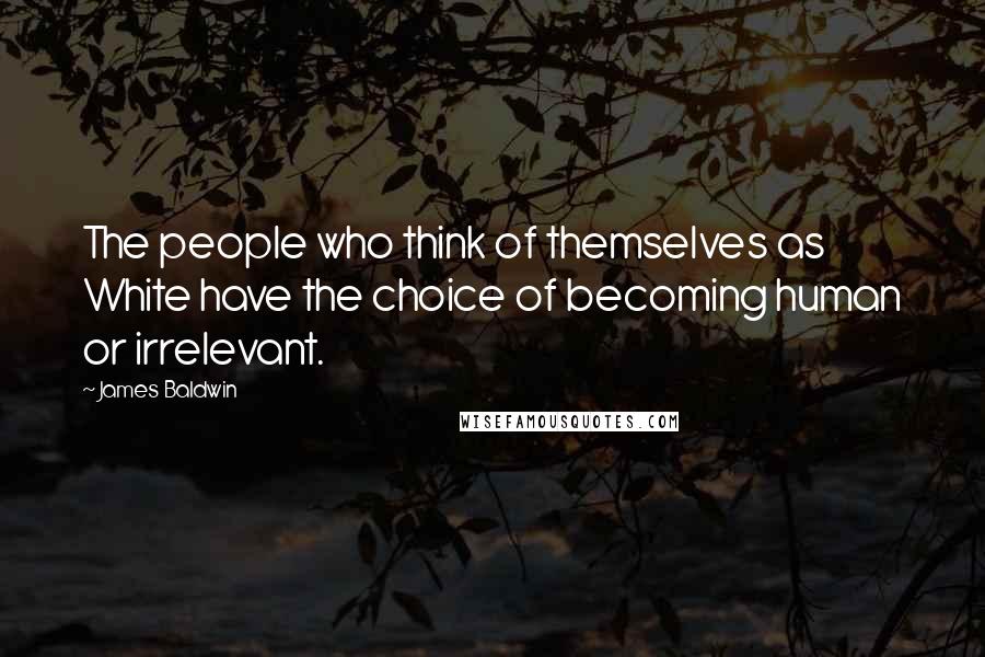 James Baldwin Quotes: The people who think of themselves as White have the choice of becoming human or irrelevant.