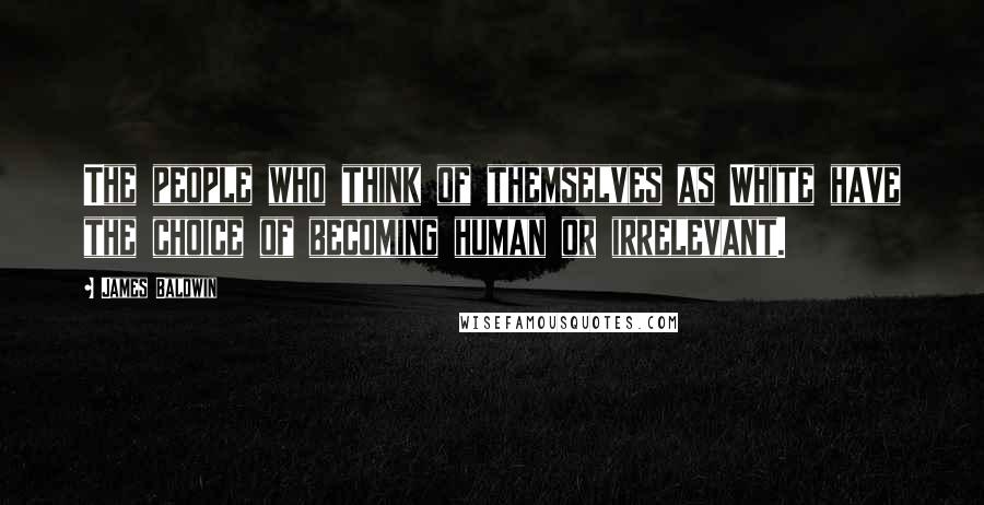 James Baldwin Quotes: The people who think of themselves as White have the choice of becoming human or irrelevant.