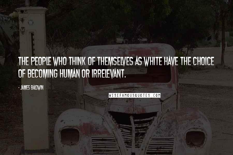 James Baldwin Quotes: The people who think of themselves as White have the choice of becoming human or irrelevant.