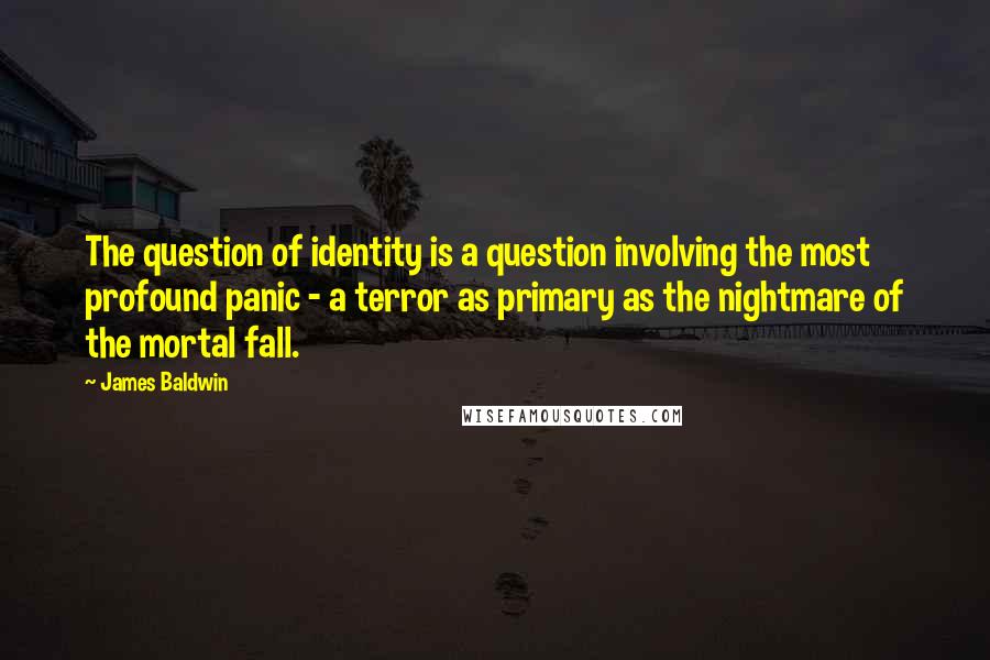 James Baldwin Quotes: The question of identity is a question involving the most profound panic - a terror as primary as the nightmare of the mortal fall.