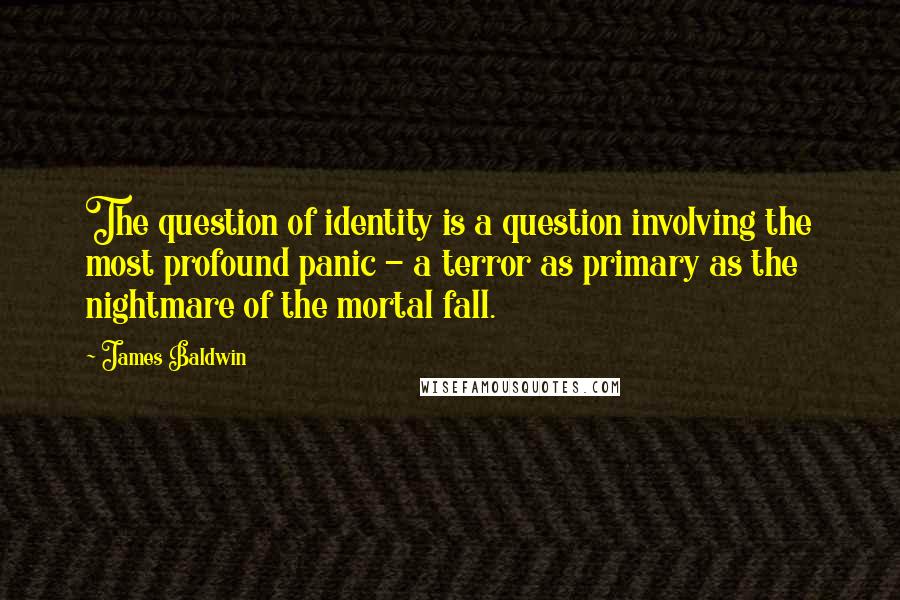 James Baldwin Quotes: The question of identity is a question involving the most profound panic - a terror as primary as the nightmare of the mortal fall.