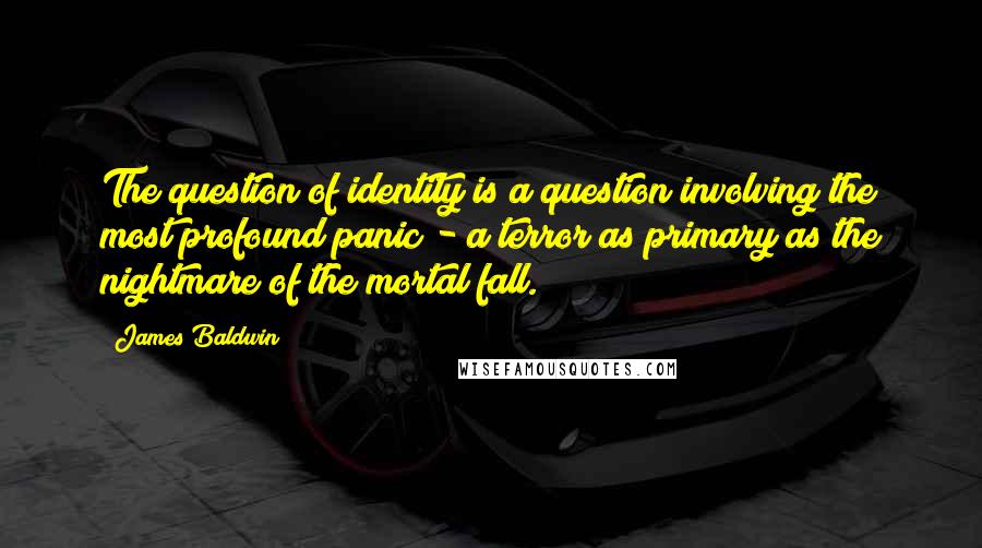 James Baldwin Quotes: The question of identity is a question involving the most profound panic - a terror as primary as the nightmare of the mortal fall.